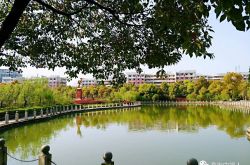 校园景色