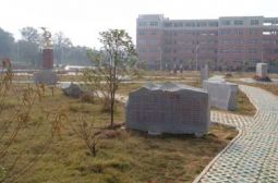 我校文化园风景