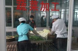 食堂工作扫描——精心加工科学配菜