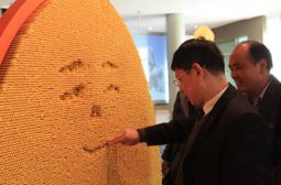 我校师生回访韩国活动剪影(三)