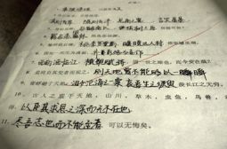 中国古诗文默写大赛（第一季）