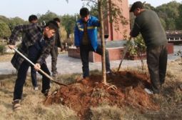 学校特辟校友绿化园