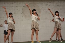 老校区文化节镜头选