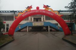 十年磨霜剑，百日创辉煌