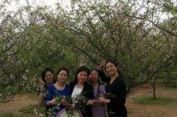 凤凰沟里品醉不一样的&ldquo;三八&rdquo;节