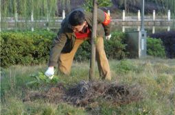 做在细处成在实处