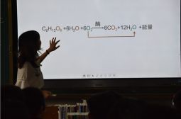 高安中学上学年校园建设巡礼(四）