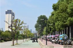 高安中学上学年校园建设巡礼(十六）