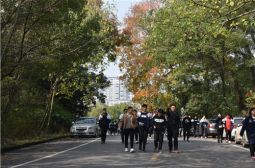 校园冬日胜春朝