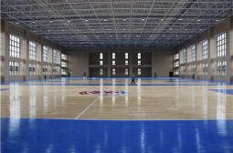 体育馆渐显高端大气面貌