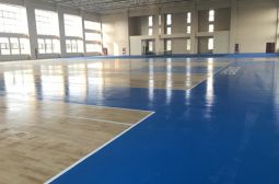 高二党支部组织党员到体育馆开展志愿活动