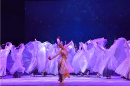 《瑞湖晨曦》摘得桂冠