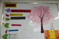 制度上墙，文化上墙，让班级墙面会“说话”——高一年级文化墙评比揭晓