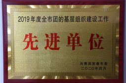 我校荣膺共青团宜春市委“先进单位”光荣称号