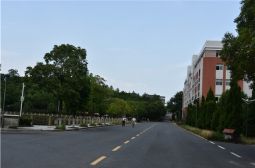 我校积极做好洪水过后校园消杀防疫工作