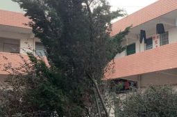 总务处及时抢扶校园倒伏树木