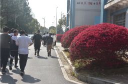 高安中学校园花事盛