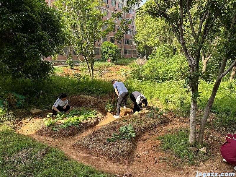 微信图片_20230419155757.jpg