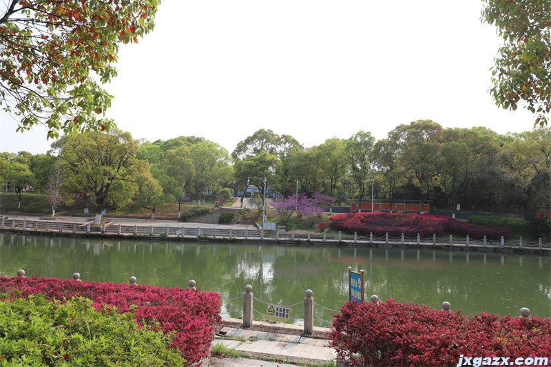 34在水一方.jpg