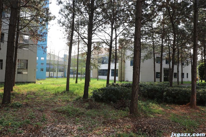 43入云深处亦沾衣.jpg