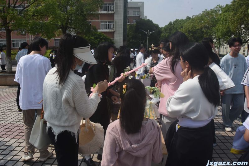DSC_9686.JPG